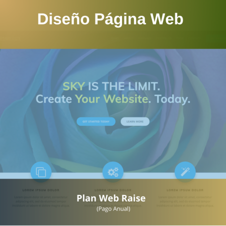 copy of Essentials web Plan
