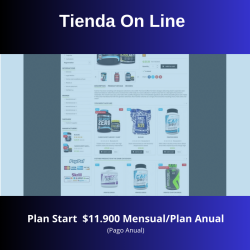 copy of copy of copy of Essentials web Plan