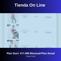 copy of copy of copy of Essentials web Plan